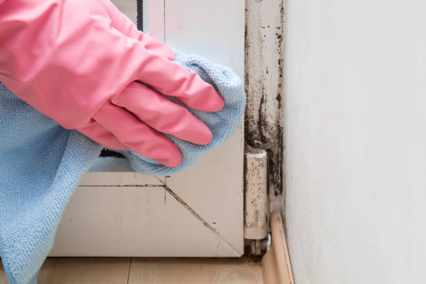 Mold Remediation for Vacation Homes in Sumrall, MS